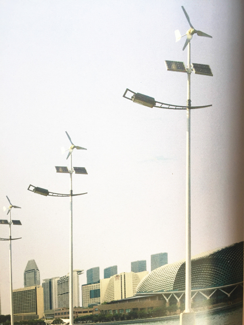 风光互补太阳能路灯-003(图1)